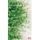 Wall murals stucco wall with green leaves 2 Wall murals stucco wall with green leaves 2