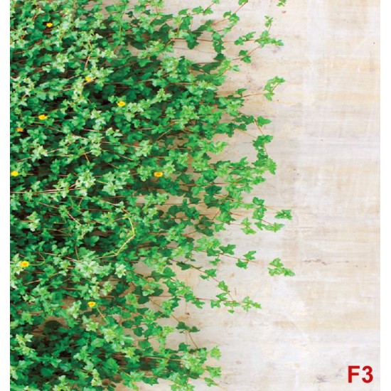 Wall murals stucco wall with green leaves 2 Wall murals stucco wall with green leaves 2