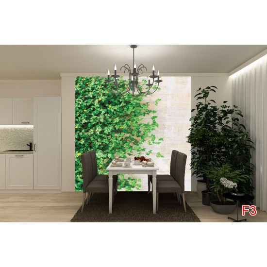 Wall murals stucco wall with green leaves 2 Wall murals stucco wall with green leaves 2