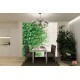 Wall murals stucco wall with green leaves 2 Wall murals stucco wall with green leaves 2