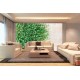 Wall murals stucco wall with green leaves 2 Wall murals stucco wall with green leaves 2