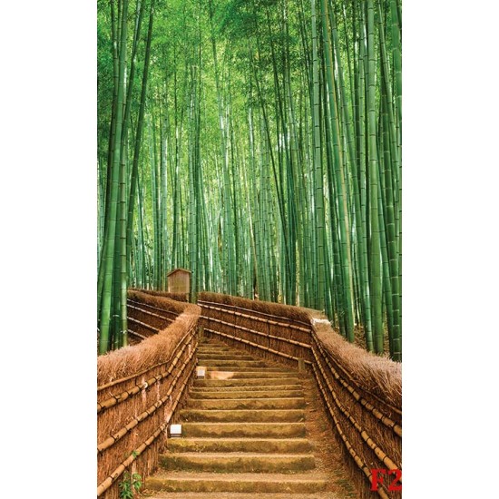 Wall murals Bamboo forest with bridge