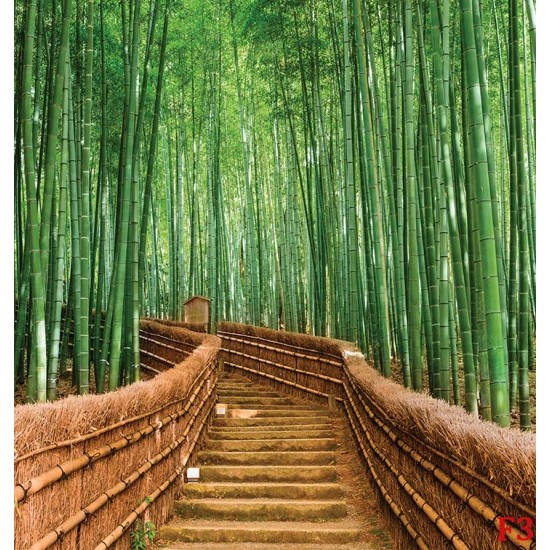 Wall murals Bamboo forest with bridge