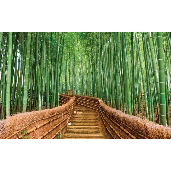 Wall murals Bamboo forest with bridge