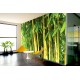 Wall murals bamboo tree leaves