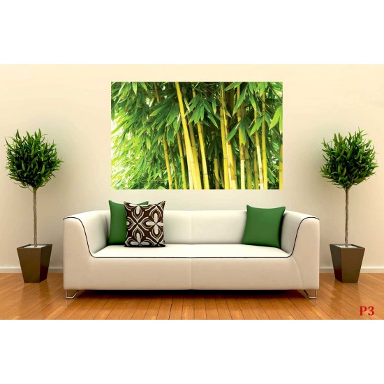 Wall murals bamboo tree leaves