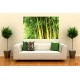 Wall murals bamboo tree leaves