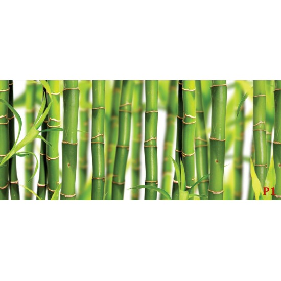 Wall mural with placed green bamboo