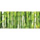 Wall mural with placed green bamboo