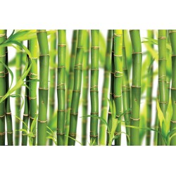 Wall mural with placed green bamboo