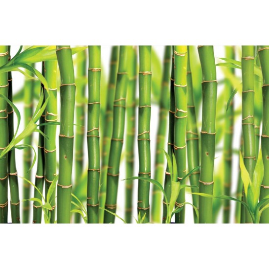 Wall mural with placed green bamboo