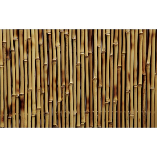 Photo mural bamboo structure 2
