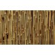 Photo mural bamboo structure 2