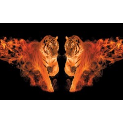 Wallpapers mural a tiger couple with flames in 2 colors