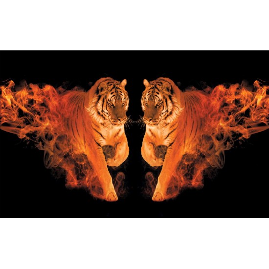 Wallpapers mural a tiger couple with flames in 2 colors