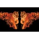 Wallpapers mural a tiger couple with flames in 2 colors