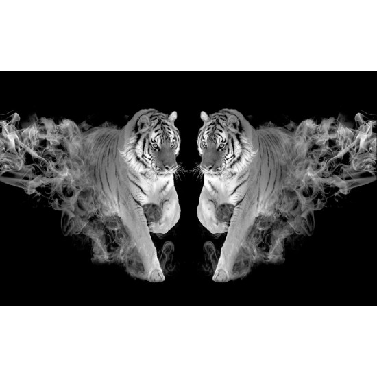 Wallpapers mural a tiger couple with flames in 2 colors