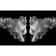 Wallpapers mural a tiger couple with flames in 2 colors