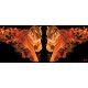 Wallpapers mural a tiger couple with flames in 2 colors