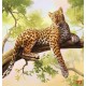 Wall murals leopard on a tree model 2
