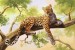 Wall murals leopard on a tree model 2