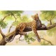 Wall murals leopard on a tree model 2