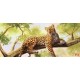 Wall murals leopard on a tree model 2