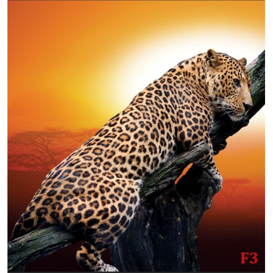 Wall murals leopard on a tree model 3 Wall murals leopard on a tree model 3