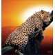 Wall murals leopard on a tree model 3 Wall murals leopard on a tree model 3
