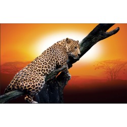 Wall murals leopard on a tree model 3