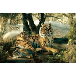 Photo mural picture painted tiger her cubs