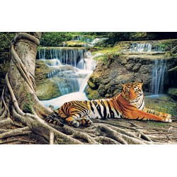 Photo mural tiger on the background of forest waterfalls