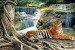 Photo mural tiger on the background of forest waterfalls