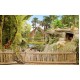 Photo mural zoo park with lions and giraffes Photo mural zoo park with lions and giraffes
