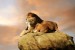 Photo mural pair of lions on a rock