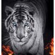 Wallpapers mural black tiger with flames