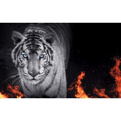 Wallpapers mural black tiger with flames