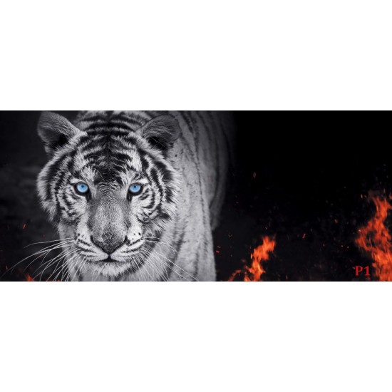 Wallpapers mural black tiger with flames