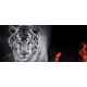 Wallpapers mural black tiger with flames