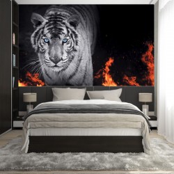 Wallpapers mural black tiger with flames
