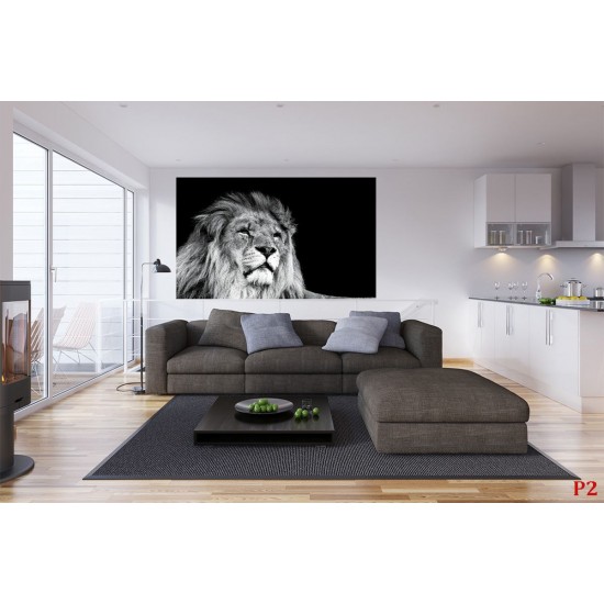 Wall mural big lion head on black background Wall mural big lion head on black background