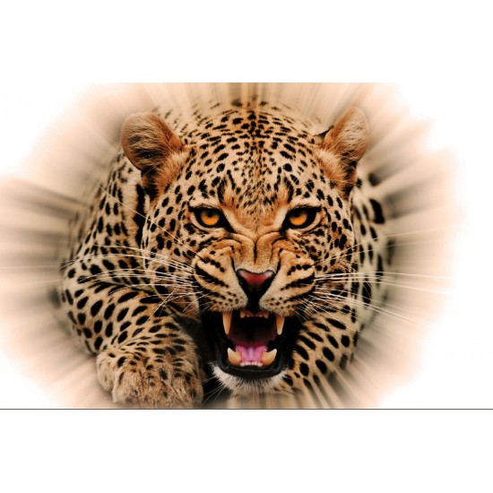 Wall mural leopard in orange lights effect