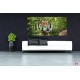 Wallpapers mural tiger in the jungle Wallpapers mural tiger in the jungle