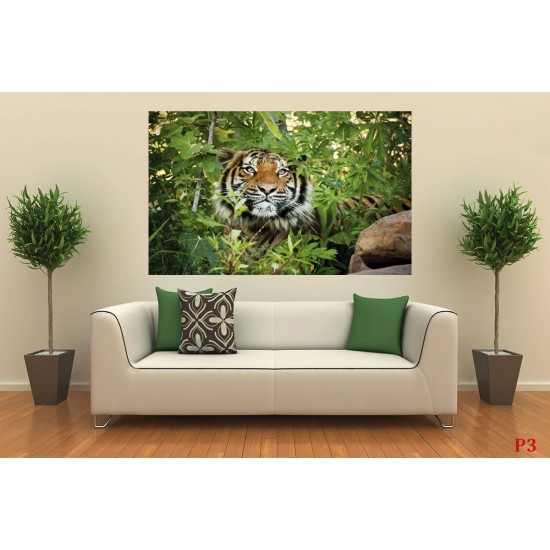 Wallpapers mural tiger in the jungle Wallpapers mural tiger in the jungle