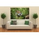 Wallpapers mural tiger in the jungle Wallpapers mural tiger in the jungle