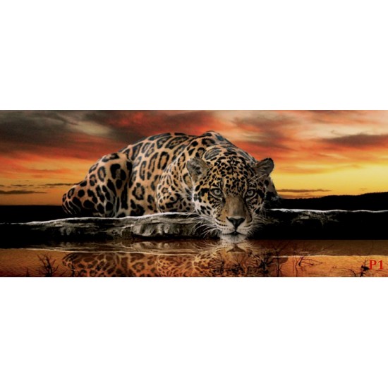 Wallpapers mural leopard in orange sunset Wallpapers mural leopard in orange sunset