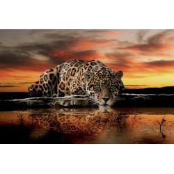 Wallpapers mural leopard in orange sunset Wallpapers mural leopard in orange sunset