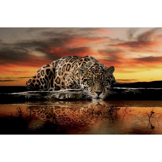 Wallpapers mural leopard in orange sunset Wallpapers mural leopard in orange sunset