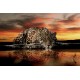 Wallpapers mural leopard in orange sunset Wallpapers mural leopard in orange sunset