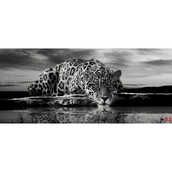 Wallpapers mural leopard in grey sunset Wallpapers mural leopard in grey sunset
